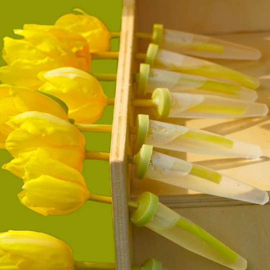 Bloembuisjes onzichtbaar verborgen achter de sierlijst van het boomvormige kastje. Bloemen kunnen langs de gehele lijst worden bevestigd.